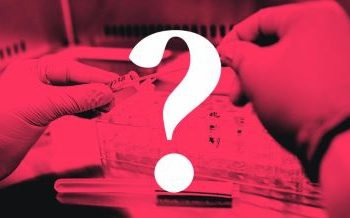 I hate DNA tests with passion-Shine Odigie