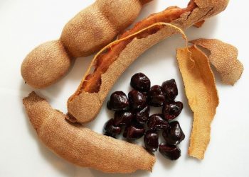 Food is one of Africa’s prized treasures, whether you live in Africa or abroad, you should not ignore these foods.