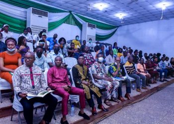 Two Nigerian fraudsters to spend 22 years in USA  federal prison