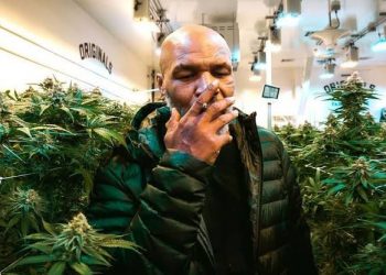 Mike Tyson to be the brand Ambassador to marijuana in Malawi