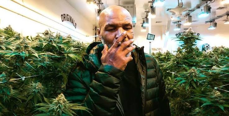 Mike Tyson to be the brand Ambassador to marijuana in Malawi