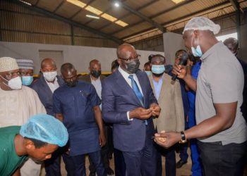 Obaseki’s drive to transform Edo into an agric hub in line with SDGs – Alufohai
