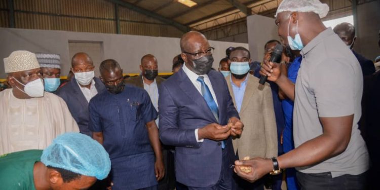 Obaseki’s drive to transform Edo into an agric hub in line with SDGs – Alufohai