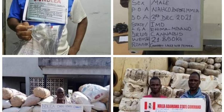 Another Father Of Three Excretes 96 Pellets Of Cocaine En Route Madrid At Abuja Airport