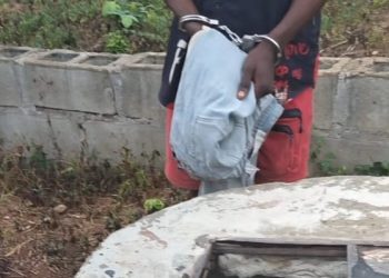 An Apprentice Murders His Master and Throws His Body Down a Well