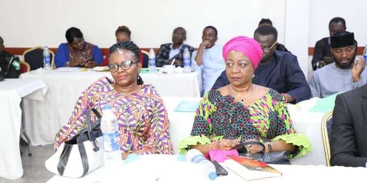 Disability Act : Persons with Disability laud USAID, Palladium for Advocacy Platform