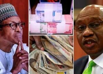 Scarcity of the Naira: Buhari and the Central Bank Have Not Made a Decision