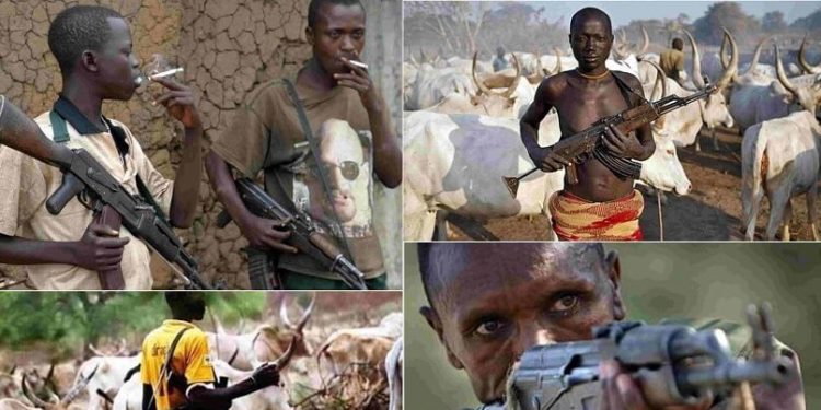 Suspected Herdsmen Unleash Terror In Kafanchan