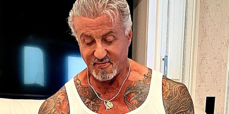 Sylvester Stallone, who starred in the Rocky franchise, will reprise his role in the upcoming Cliffhanger remake.