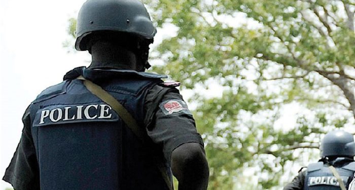 Police charge man, 32, over taken cattle in Ekiti