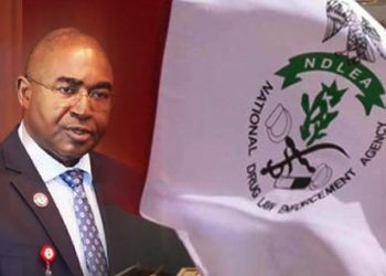 The National Drug Law Enforcement Agency confirmed the detention of two Ghanaians, Monday Saba and Hakeem Kwana, as well as 11 additional suspects for drug-related offenses in various regions of the nation. Femi Babafemi, the agency's Director of Media and Advocacy, issued a statement on Sunday that confirmed the development. In it, he stated that officials of the agency had intercepted two imported consignments of a potent strain of cannabis known as loud, each weighing 5,344.1 kilograms, along the in the Lekki area of Lagos State. He also revealed that, according to reliable information, NDLEA agents ambushed a white truck on the Epe-Lekki Expressway in the early hours of Monday, June 19, transporting 50 jumbo bags weighing 2,434.1 kilograms of the illegal substance. According to Babafemi, the driver jumped out of the vehicle and made his way out in a security van that was escorting the drug truck, which was demobilized by anti-narcotics officers, he added. Two Ghanaians are detained after NDLEA intercepts hard drugs in Lagos. In five months, NDLEA has detained 181 Ogun drug suspects: In just five months, the NDLEA has detained 181 suspects. The spokesman for the agency went on to say that the following day, on the basis of intelligence, officers in the marine command of the agency intercepted a boat carrying the same imported substance weighing 2,910 kilograms and arriving from Ghana around Alfa Beach. According to Babafemi, "Two Ghanaians, Hakeem Kwana, 27, and Monday Saba, 30, were found with the consignments, and were promptly arrested." Abubakar Mohammed, 32, and Nuhu Sale, 43, were arrested in Niger State on June 18 along Abuja Expressway, Suleja, with 31 jumbo bags of skunk weighing 517 kilograms. Amina Alilu, 30, was arrested on June 21 in Ogbogodo village, Dekina LGA, Kogi State, with 171 kilograms of the substance. “On Thursday, June 22, 34-year-old Ogedegbe Dorcas, a suspected fictitious female security agent, was also captured with 30 kilograms of cannabis at Ajegunle in the Asa Dam Area of Ilorin, Kwara State. On Saturday, June 24, 42-year-old Segun Olajide was captured with 49.2 kilograms of the same substance in Oyo town.