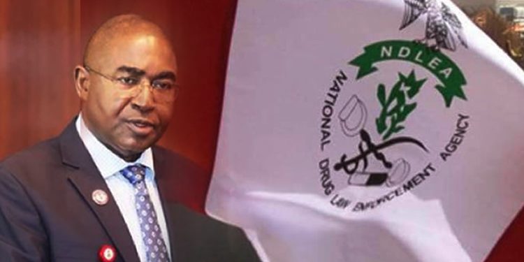 The National Drug Law Enforcement Agency confirmed the detention of two Ghanaians, Monday Saba and Hakeem Kwana, as well as 11 additional suspects for drug-related offenses in various regions of the nation. Femi Babafemi, the agency's Director of Media and Advocacy, issued a statement on Sunday that confirmed the development. In it, he stated that officials of the agency had intercepted two imported consignments of a potent strain of cannabis known as loud, each weighing 5,344.1 kilograms, along the in the Lekki area of Lagos State. He also revealed that, according to reliable information, NDLEA agents ambushed a white truck on the Epe-Lekki Expressway in the early hours of Monday, June 19, transporting 50 jumbo bags weighing 2,434.1 kilograms of the illegal substance. According to Babafemi, the driver jumped out of the vehicle and made his way out in a security van that was escorting the drug truck, which was demobilized by anti-narcotics officers, he added. Two Ghanaians are detained after NDLEA intercepts hard drugs in Lagos. In five months, NDLEA has detained 181 Ogun drug suspects: In just five months, the NDLEA has detained 181 suspects. The spokesman for the agency went on to say that the following day, on the basis of intelligence, officers in the marine command of the agency intercepted a boat carrying the same imported substance weighing 2,910 kilograms and arriving from Ghana around Alfa Beach. According to Babafemi, "Two Ghanaians, Hakeem Kwana, 27, and Monday Saba, 30, were found with the consignments, and were promptly arrested." Abubakar Mohammed, 32, and Nuhu Sale, 43, were arrested in Niger State on June 18 along Abuja Expressway, Suleja, with 31 jumbo bags of skunk weighing 517 kilograms. Amina Alilu, 30, was arrested on June 21 in Ogbogodo village, Dekina LGA, Kogi State, with 171 kilograms of the substance. “On Thursday, June 22, 34-year-old Ogedegbe Dorcas, a suspected fictitious female security agent, was also captured with 30 kilograms of cannabis at Ajegunle in the Asa Dam Area of Ilorin, Kwara State. On Saturday, June 24, 42-year-old Segun Olajide was captured with 49.2 kilograms of the same substance in Oyo town.