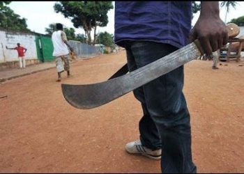 On June 23, 2023, a Kwara herder uses a cutlass to shave a girl for sex