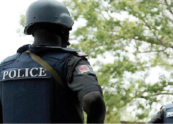Borno police capture two women, eight others for killing cop