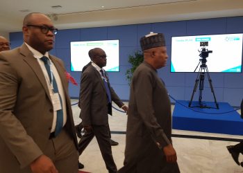UN summit: FG has mobilized $500m for food system transformation – Shettima