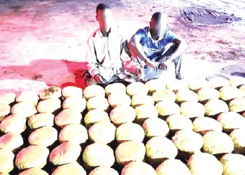 Soldiers capture Beninese, another with load of weed