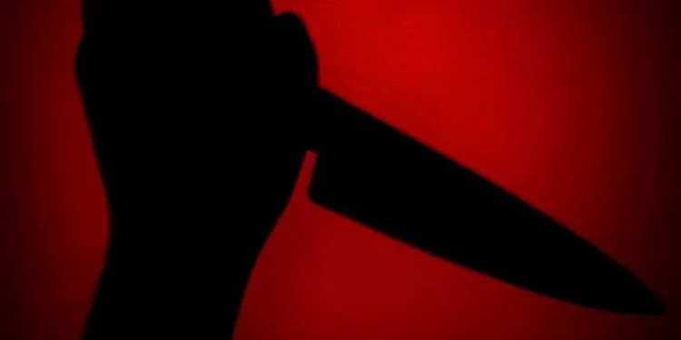 Drug Junkie 'Kills' Mother In Ogun