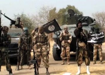 Boko Haram ethnic factions battle, kill 82 in Borno