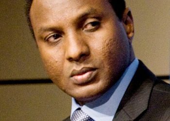 Niger overthrow pioneers structure new govt