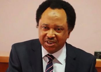 Why juntas are taking over govts in West Africa - Shehu
