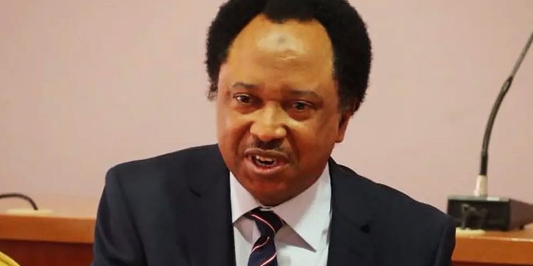 Why juntas are taking over govts in West Africa - Shehu