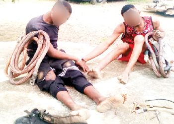 Two suspects arrested for cable theft