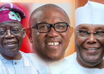 Political decision petitions: Councils choose Tinubu, 25 govs cases September