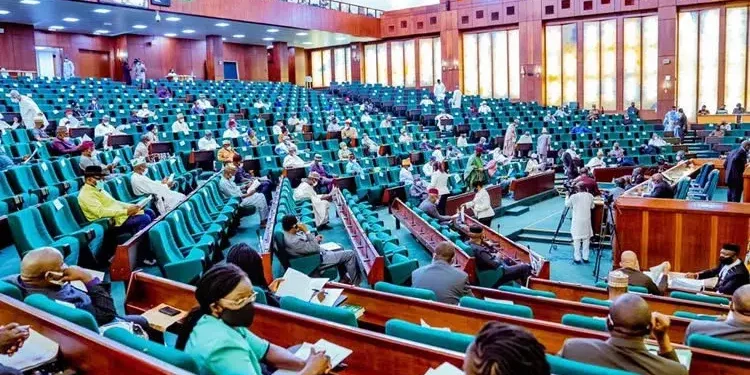 Boundary dispute: Reps to cede Adamawa territory to Cameroon