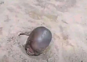 A 17-year-old boy, identified as Goodness Oshodi, has allegedly buried his younger brother, Friday Oshodi alive in Kogi State.