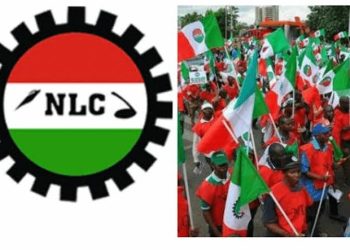 NLC, TUC suspends planned nationwide strike