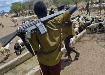 Suspected herdmen attack Benue community and kill PPRO relatives