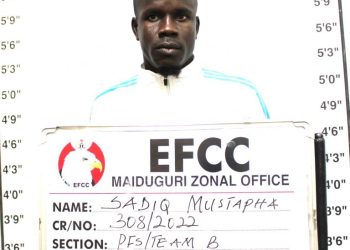 Court jails guy for land fraud in Maiduguri