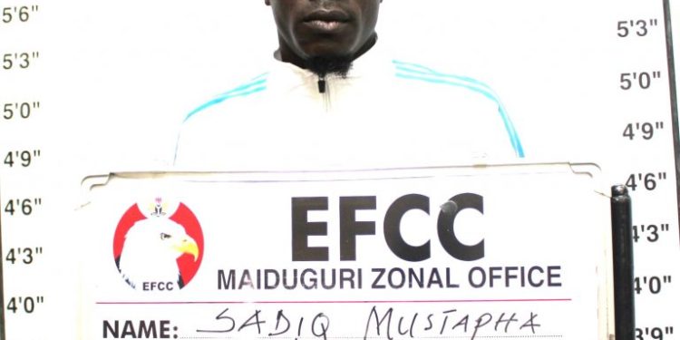 Court jails guy for land fraud in Maiduguri