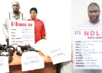 NDLEA arrests drug barons and confiscates assets