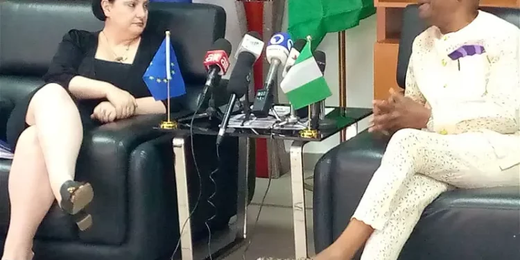 EU report, inaccurate reflection of 2023 polls — Wike