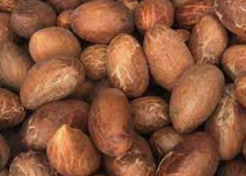 Two people arrested for stealing bitter cola, others in Anambra