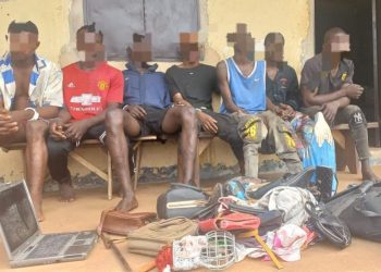 Police arrest 7 suspected thieves in Enugu