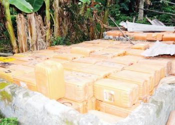 Nigerian Navy Discovers Illicit Depots Along Nigeria-Benin Border Communities