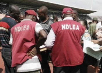NDLEA Arrests Wheelchair-Bound Drug Dealer, Ex-Convict, and Others