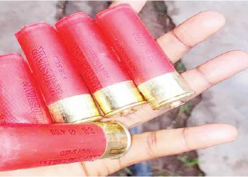 Armed Robbers Attack Ogun Polytechnic Communities, Injure Students