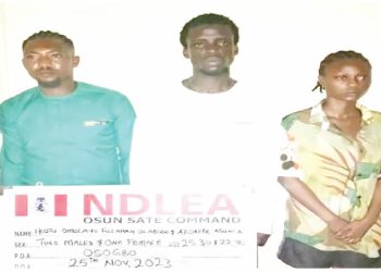 NDLEA Busts Illicit Drugs Party in Osun, Apprehends Organizers
