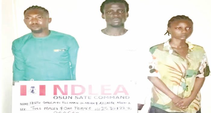 NDLEA Busts Illicit Drugs Party in Osun, Apprehends Organizers