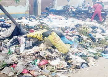 Ogun community frustrated over dumping and worried about rising cholera cases