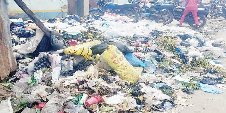 Ogun community frustrated over dumping and worried about rising cholera cases