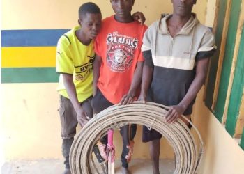 Kaduna police capture three thought link hoodlums