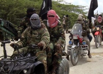 Boko Haram kills 12, kidnaps one in Borno