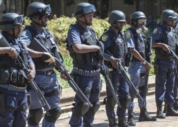 Woman arrested for alleged trafficking of 42 children