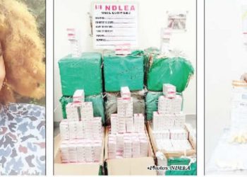 NDLEA declares beauty queen wanted, nabs Brazil returnee