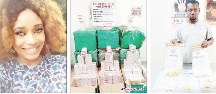 NDLEA declares beauty queen wanted, nabs Brazil returnee