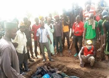 Level killings like Rwanda annihilation - N'Central govs
